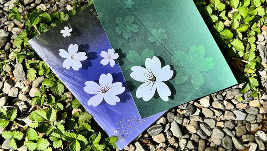 Transparent YS Notes card with white cherry blossoms on the surface