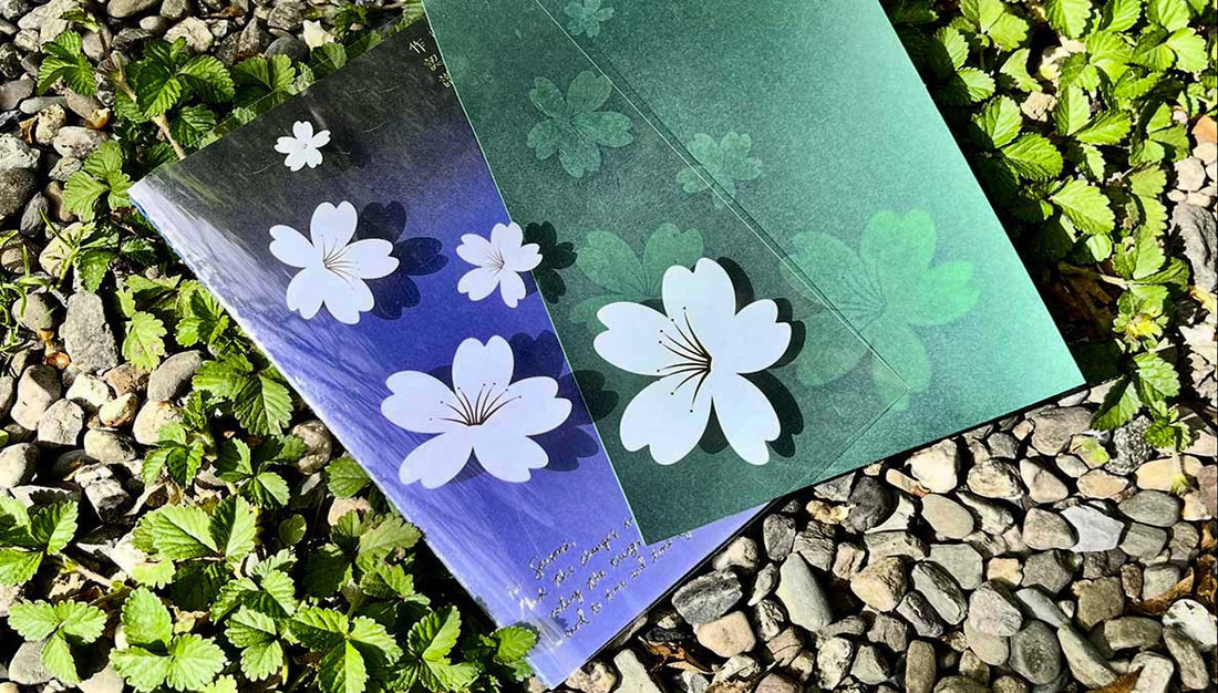 Transparent YS Notes card with white cherry blossoms on the surface