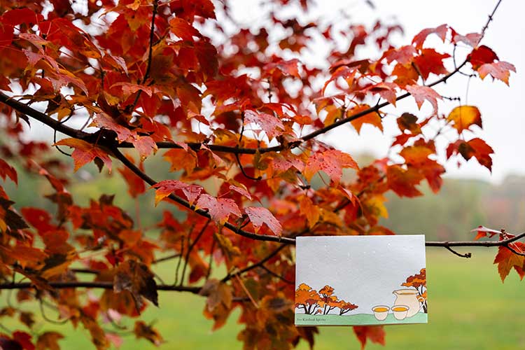 Multi-page, autumn-themed letter card on a tree branch with Fall leaves