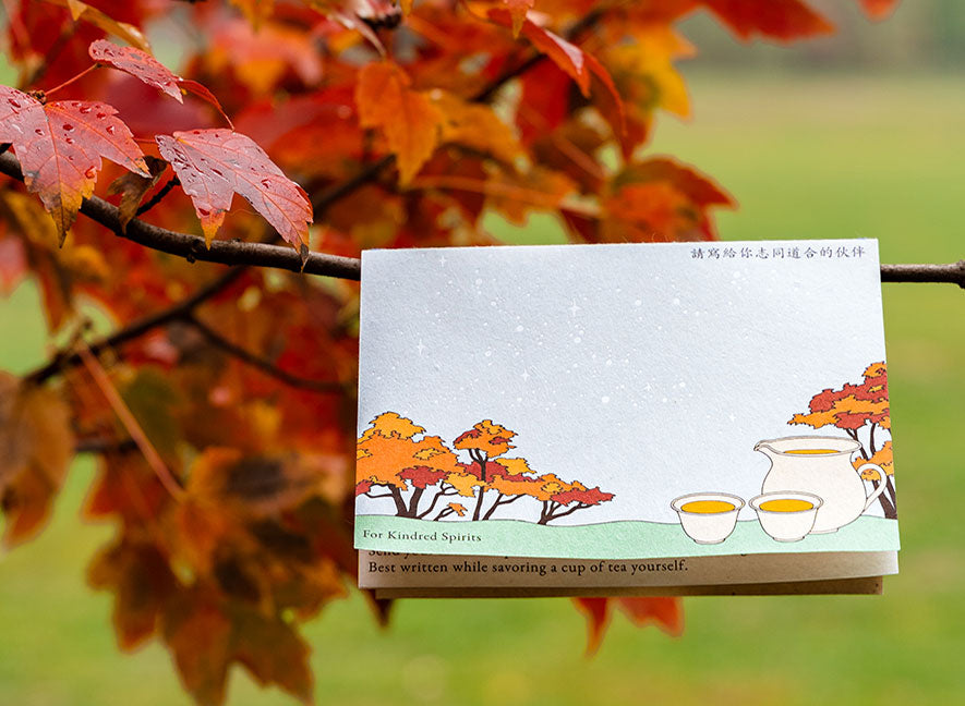  YS Notes multipage card and Japanese maple trees